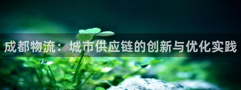 豪门国际反水：成都物流：城市供应链的