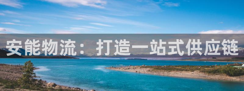 麻将1豪门国际：安能物流：打造一站式