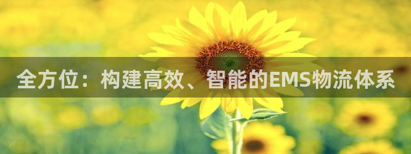 豪门国际官网版2024：全方位：构建高效、智能的EMS物流体