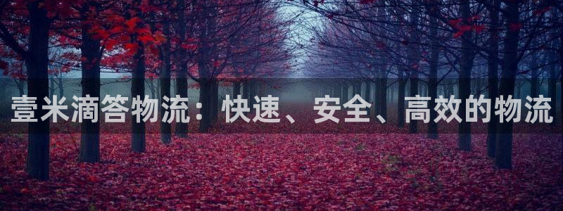 豪门国际加拿大6.0：壹米滴答物流：
