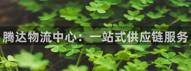 豪门国际模拟：腾达物流中心：一站式供