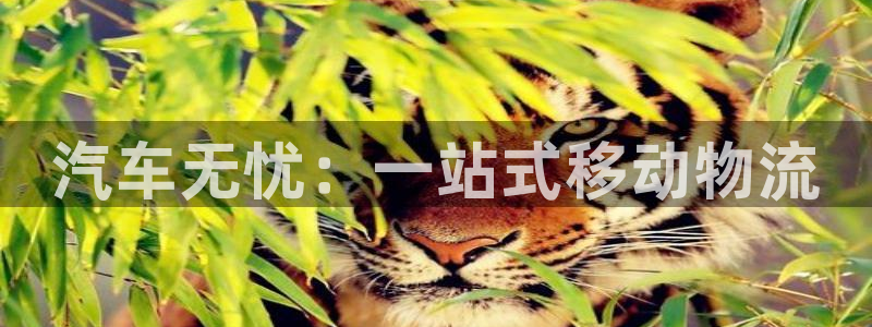 豪门国际赌博被抓：汽车无忧：一站式移