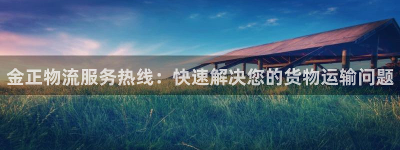 豪门国际注册登录流程：金正物流服务热