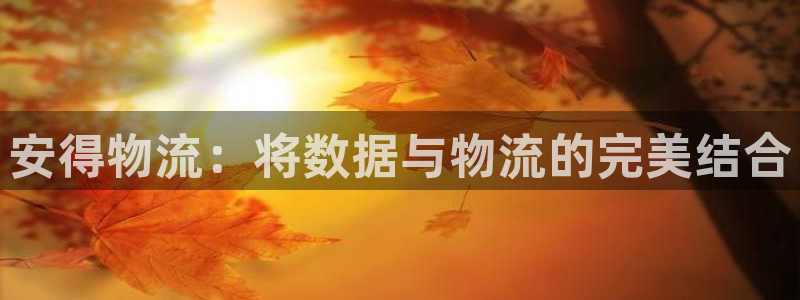 豪门国际加拿大pc预测：安得物流：将数据与物流的完美结合
