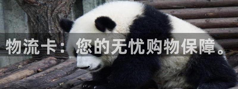 豪门国际官网下载多少：物流卡：您的无