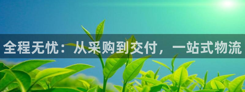 豪门国际网赌有什么风险：全程无忧：从
