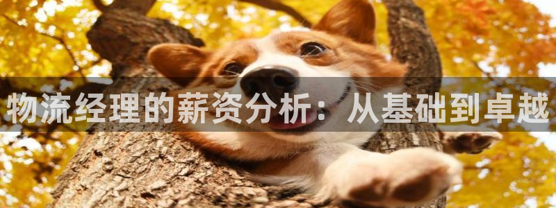 自行车豪门国际是什么意思：物流经理的