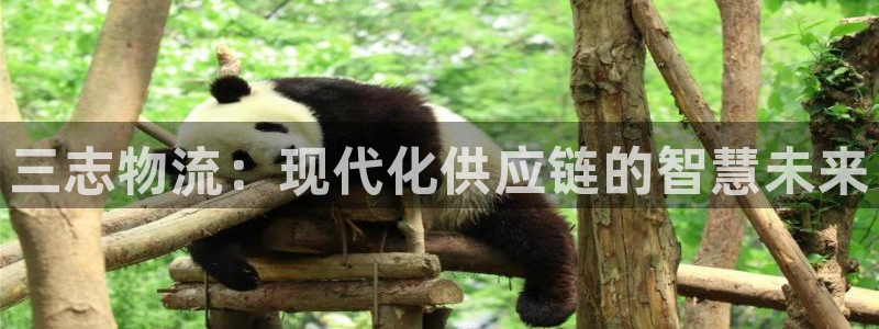 豪门国际娱乐官网网页下载：三志物流：现代化供应链的智慧未来