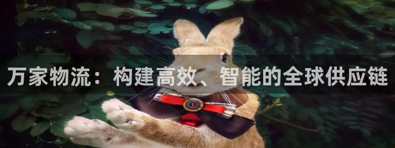 豪门国际官网平台：万家物流：构建高效