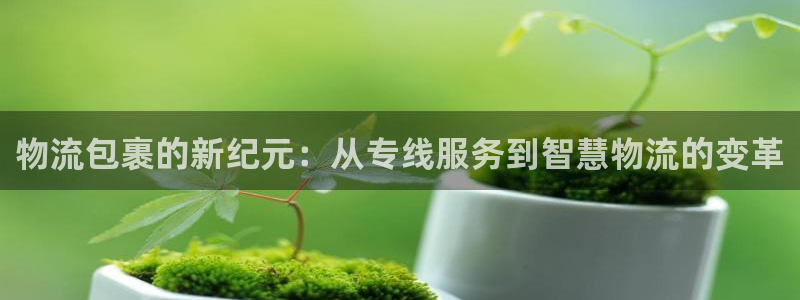 豪门国际官网下载：物流包裹的新纪元：