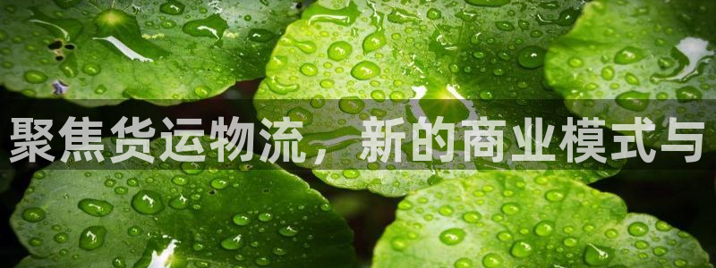 豪门国际免费充钱：聚焦货运物流，新的