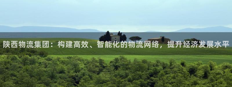 豪门国际比特28真实吗：陕西物流集团