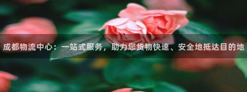 豪门国际充值不到账怎么办：成都物流中