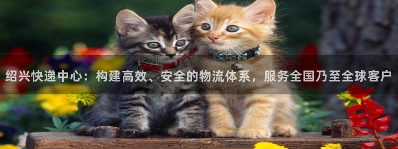 豪门国际怎么注册下载：绍兴快递中心：