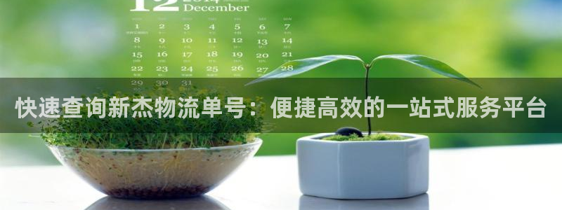 豪门国际百度百科：快速查询新杰物流单