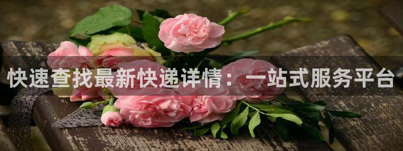 豪门国际黑不黑：快速查找最新快递详情