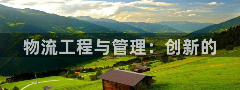 豪门国际黑钱：物流工程与管理：创新的