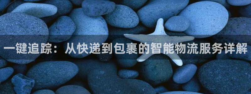 豪门国际退款教程：一键追踪：从快递到