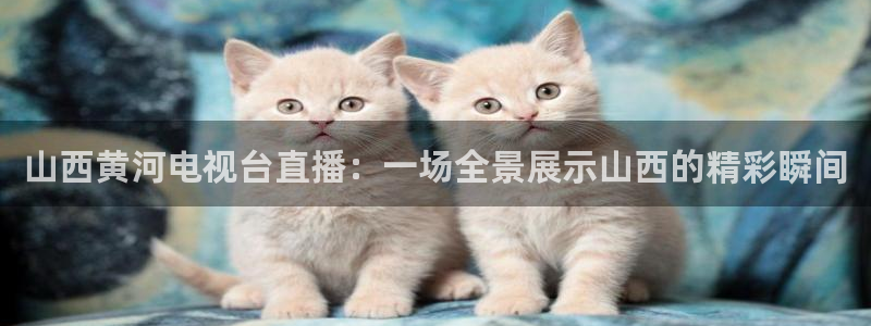 熊猫直播下载