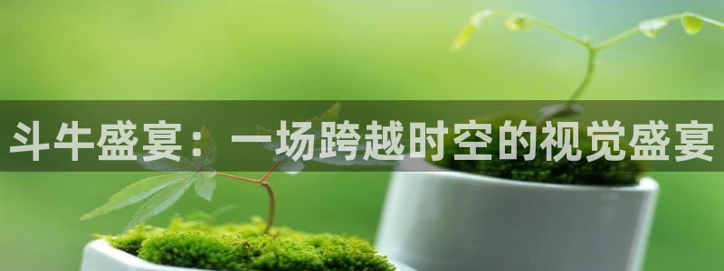 熊猫体育手机版：斗牛盛宴：一场跨越时空的视觉盛宴