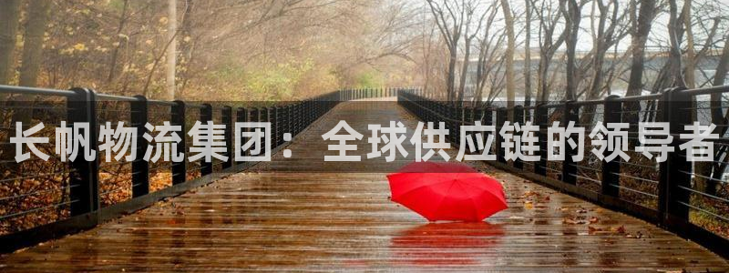 豪门国际入口问一问：长帆物流集团：全