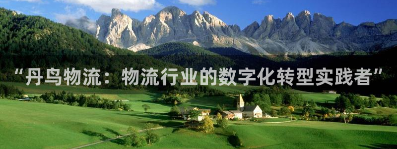 豪门国际提现不到账：“丹鸟物流：物流