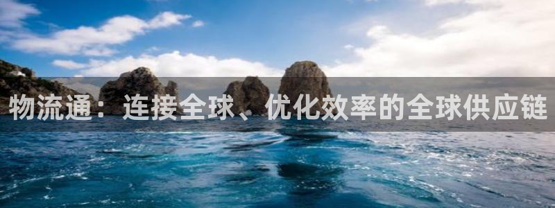 豪门国际充值方式：物流通：连接全球、优化效率的全球供应链