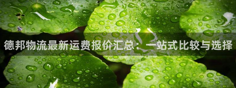 豪门国际app怎么注销：德邦物流最新