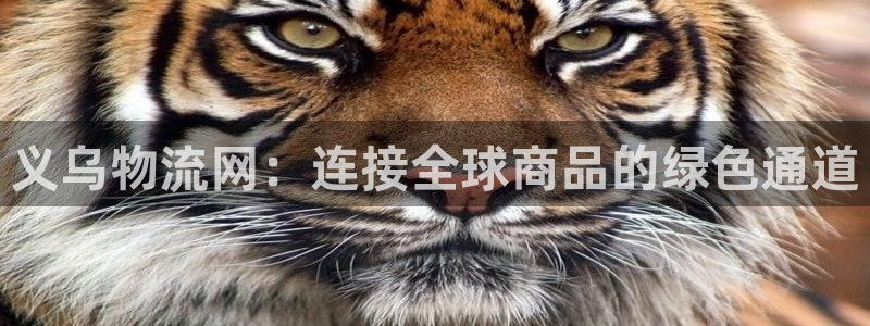 豪门国际官网平台下载：义乌物流网：连