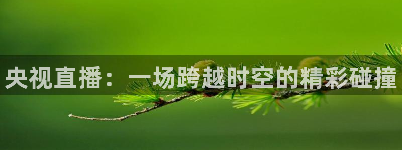 熊猫体育直播足球：央视直播：一场跨越时空的精彩碰撞