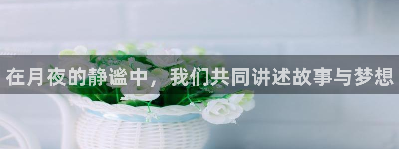 熊猫体育直播app点击启动.进新版.org：在月夜的静谧中，我们共同讲述故事与梦想