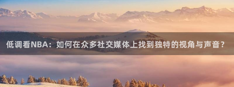 熊猫体育平台：低调看NBA：如何在众多社交媒体上找到独特的视角与声音？