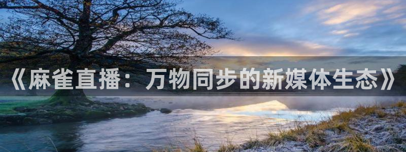 熊猫tv直播：《麻雀直播：万物同步的新媒体生态》