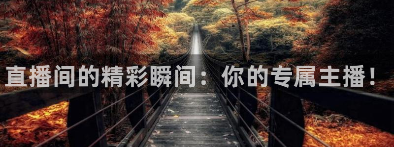 熊猫直播下载安装官方下载：直播间的精彩瞬间：你的专属主播！